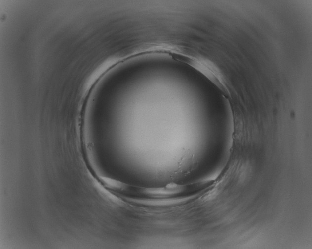 X0000071791151200606301239