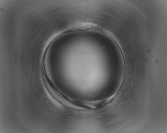 X0000071791152200606301239