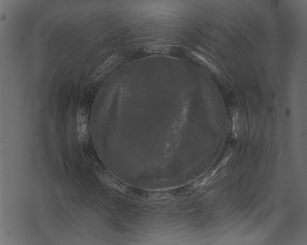 X0000071791154200606301238