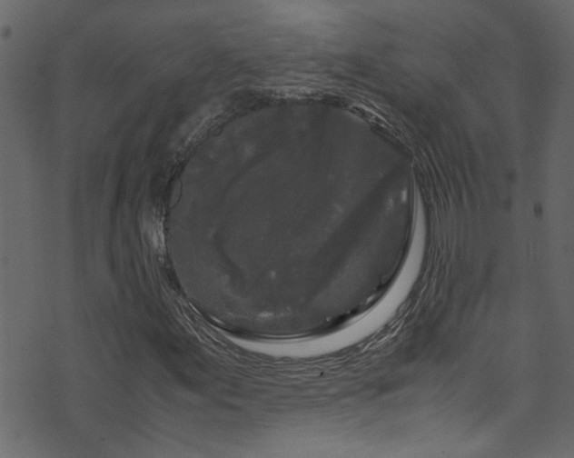X0000071791155200606301238