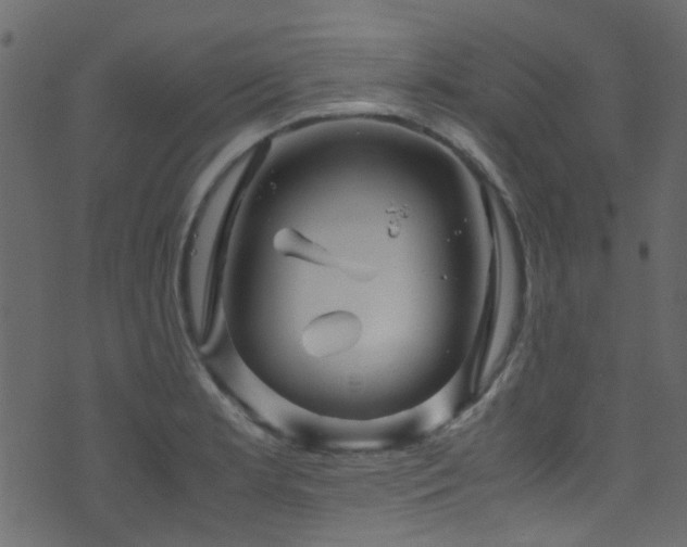 X0000071791181200606301237