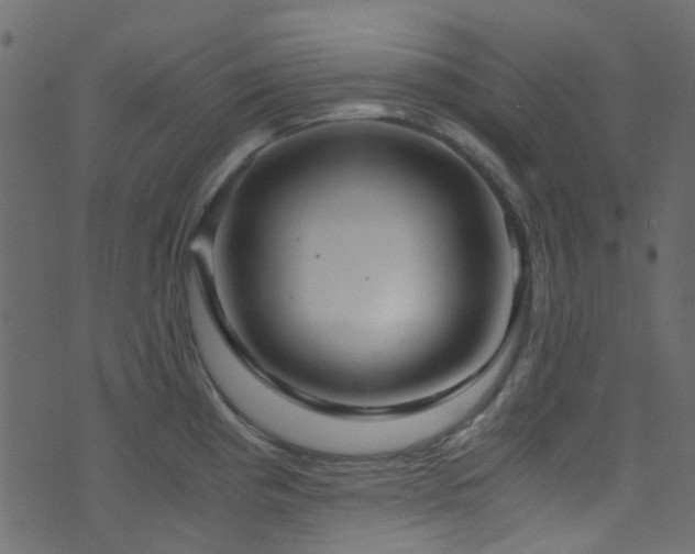 X0000071791193200606301237