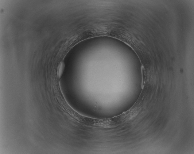 X0000071791201200606301236