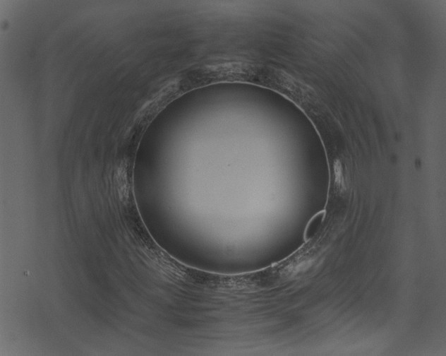 X0000071791203200606301236