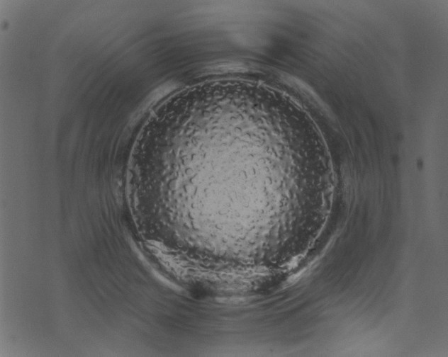 X0000071791225200606301237