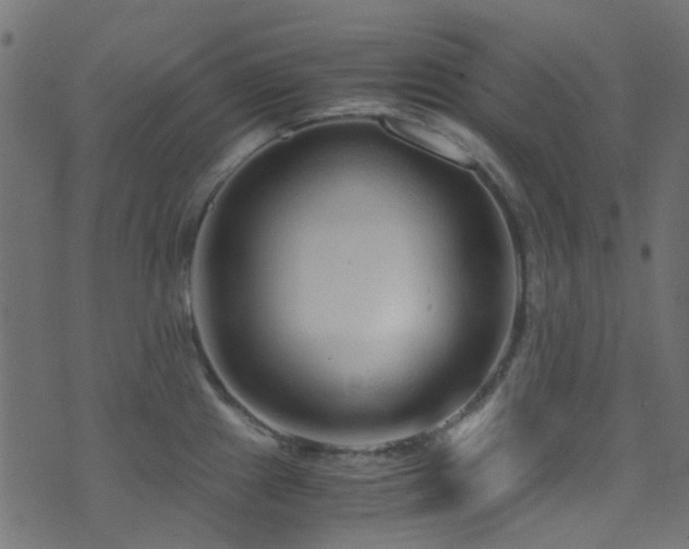 X0000071791241200606301237