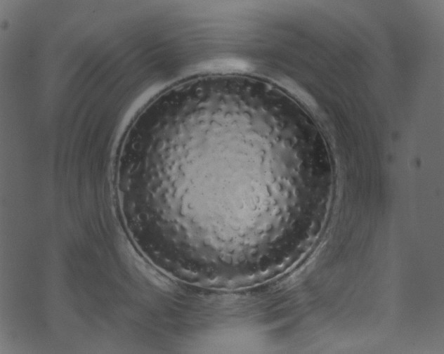 X0000071791248200606301237