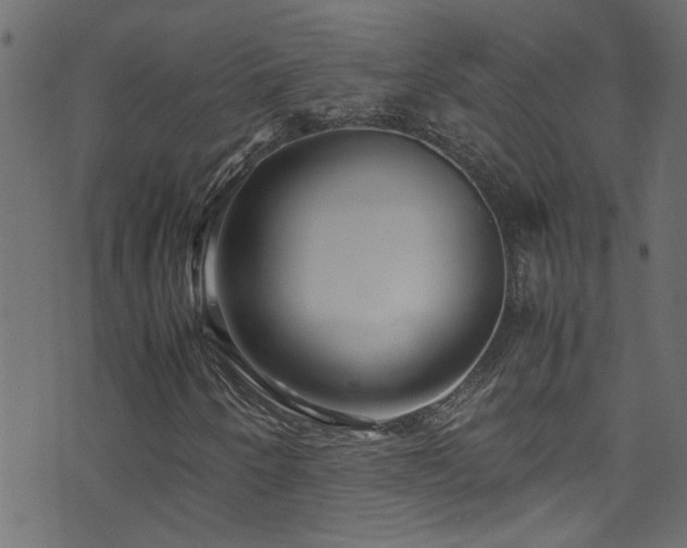 X0000071791250200606301236