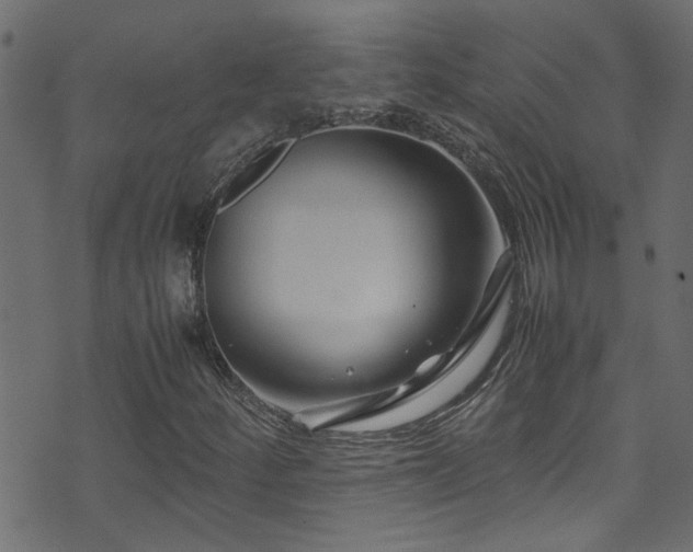 X0000071791252200606301236