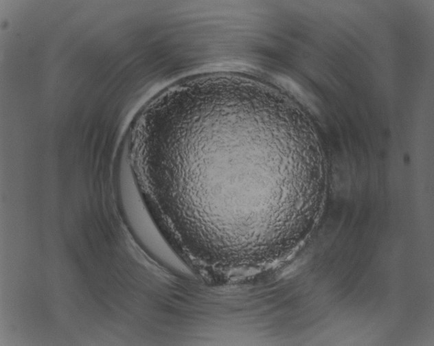 X0000071791276200606301236