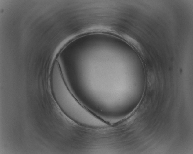 X0000071791288200606301236