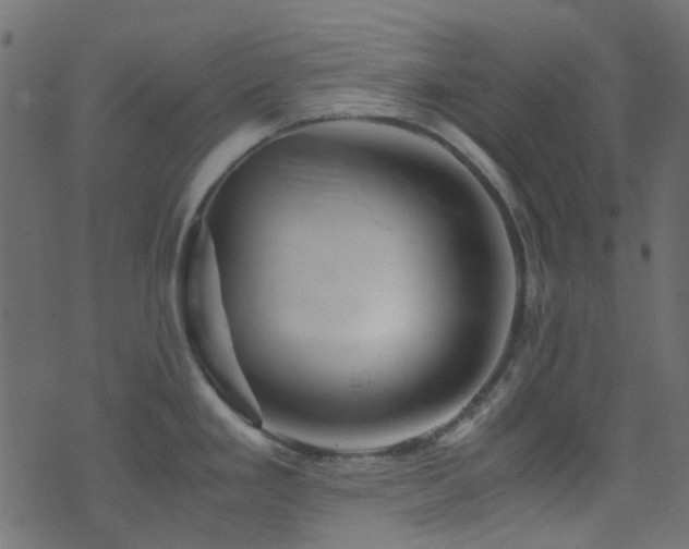 X0000071791293200606301236