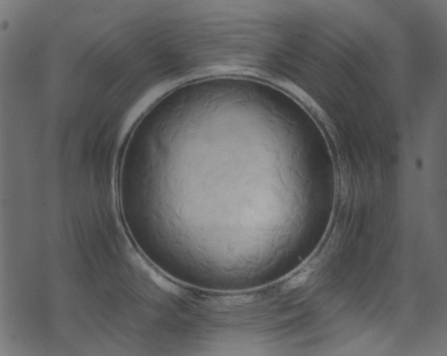 X0000071791294200606301236