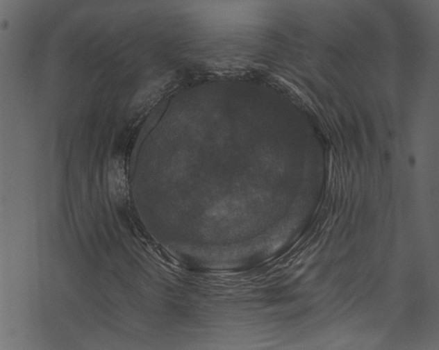 X0000071791298200606301235