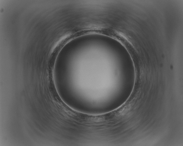X0000071791307200606301235