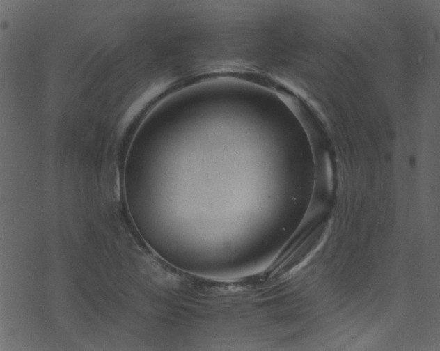 X0000071791317200606301235