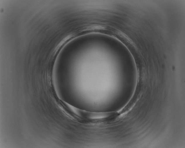 X0000071791321200606301235