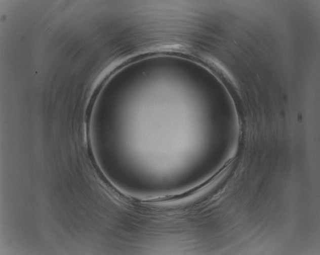 X0000071791324200606301235