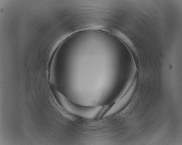 X0000071791332200606301235