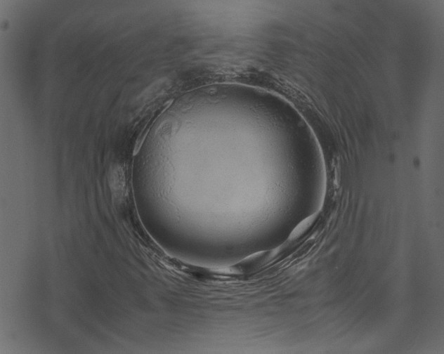 X0000071791347200606301235