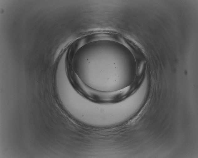 X0000071791357200606301235