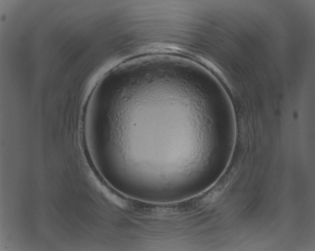 X0000071791379200606301234