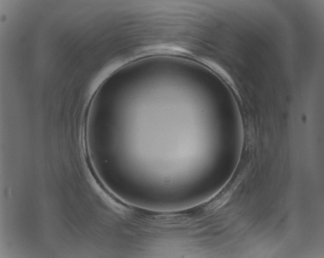 X0000071791391200606301234