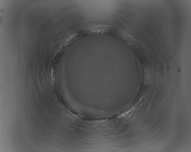 X0000071791394200606301233