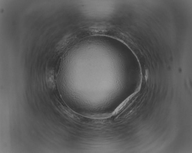 X0000071791396200606301233