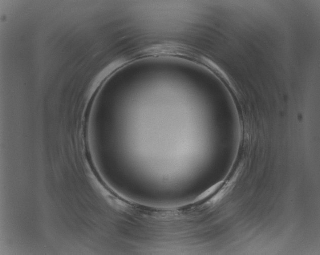 X0000071791434200606301234