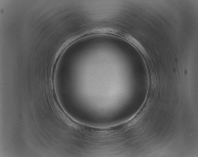 X0000071791436200606301234