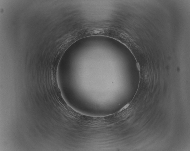 X0000071791442200606301233