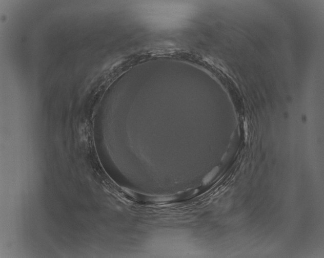 X0000071791445200606301233