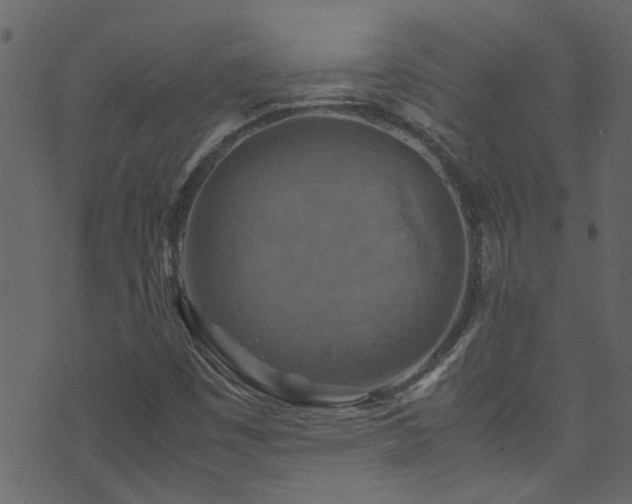 X0000071791449200606301233