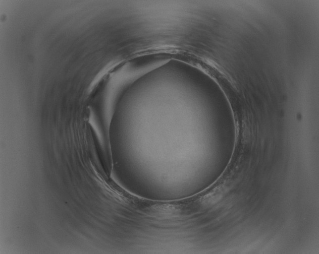 X0000071791450200606301233