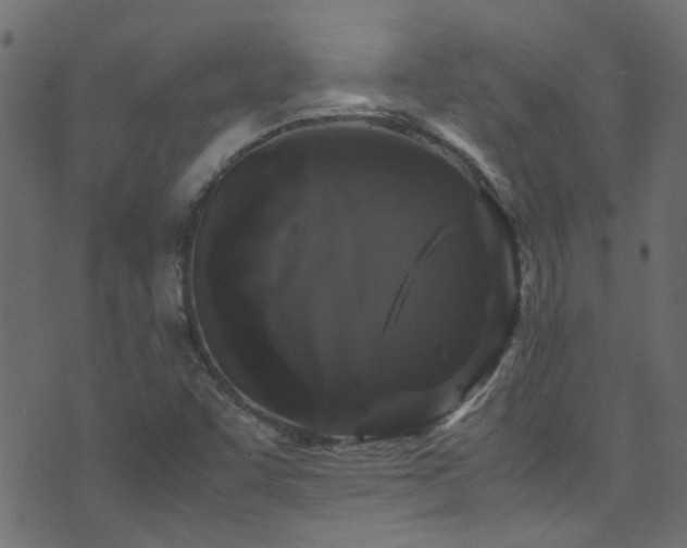 X0000071791455200606301233