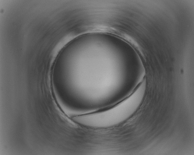 X0000071791480200606301233
