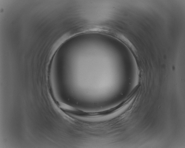 X0000071791483200606301233