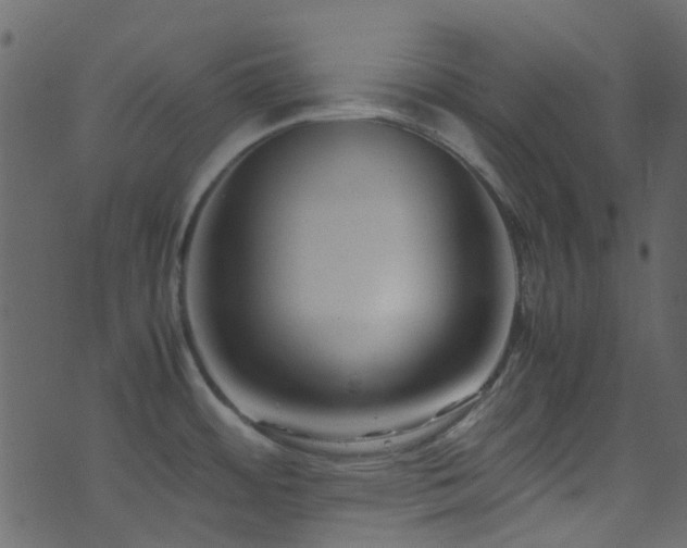 X0000071791484200606301233