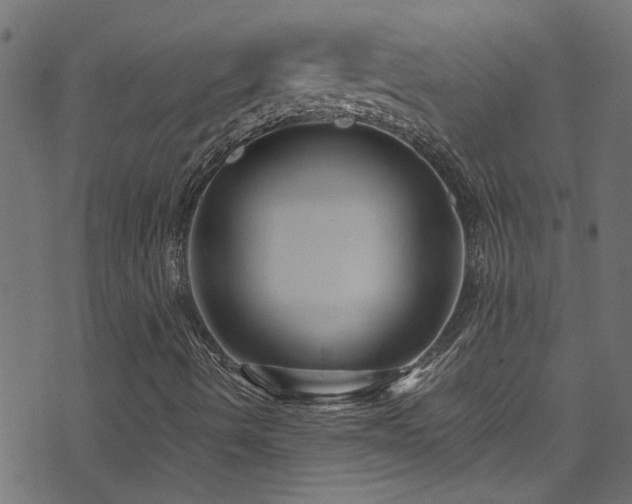 X0000071791490200606301232