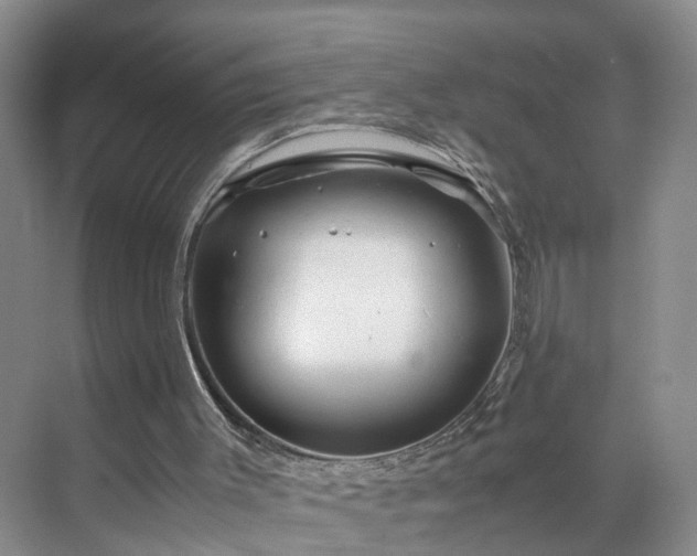 X0000071790003200607071507