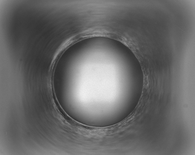 X0000071790004200607071507