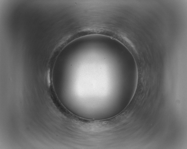 X0000071790020200607071507