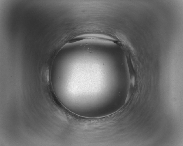 X0000071790021200607071507