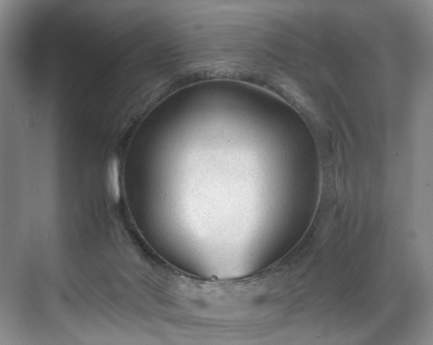 X0000071790022200607071507