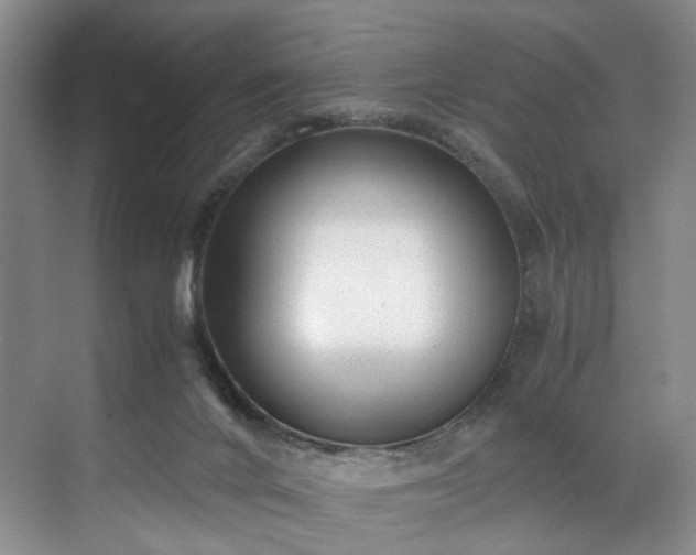 X0000071790024200607071507