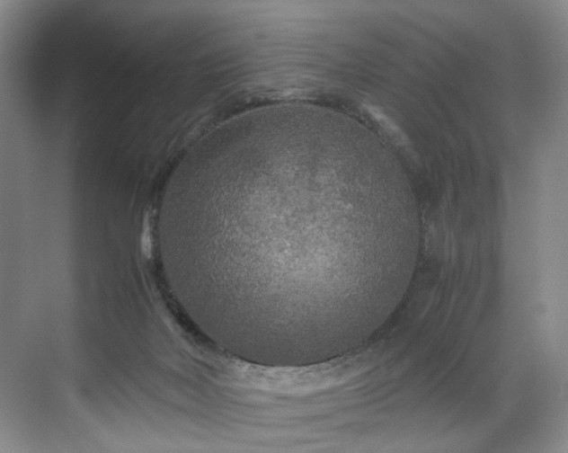 X0000071790026200607071507