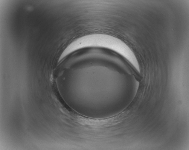 X0000071790039200607071507
