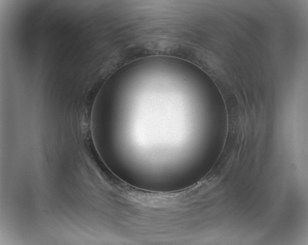 X0000071790040200607071507
