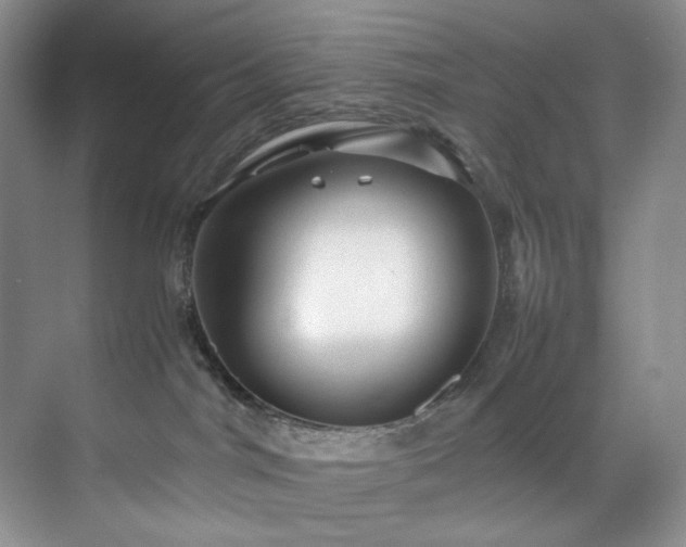 X0000071790044200607071507